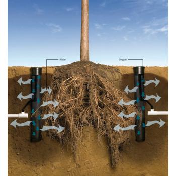 RainBird Root Watering System